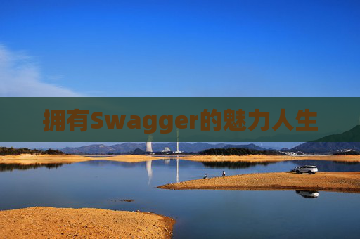拥有Swagger的魅力人生